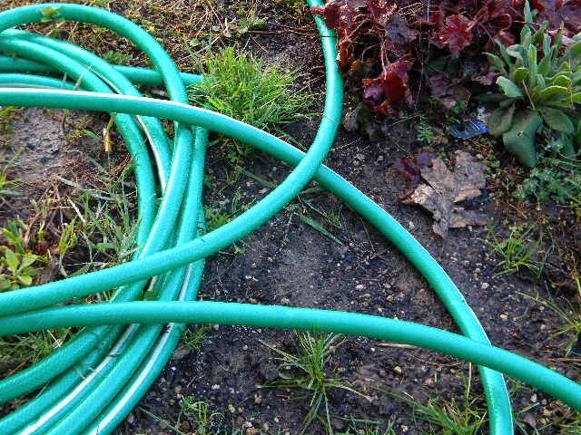 garden hose