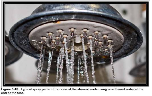 Hard Water On Shower head