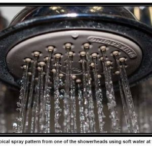 Shower Head