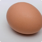 Rotten egg smell in your water? Clearwater Systems can help! tastes-ordors-in-water