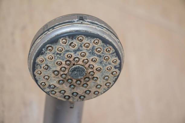 Hard water calcium deposit and corrosion on chrome shower tap What causes hard water? Solutions for Hard Water- Clearwater Systems