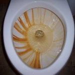 what causes orange brown staining in toilets- solutions for iron in water- clearwater systems
