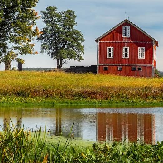 Pond on Farm Near Home