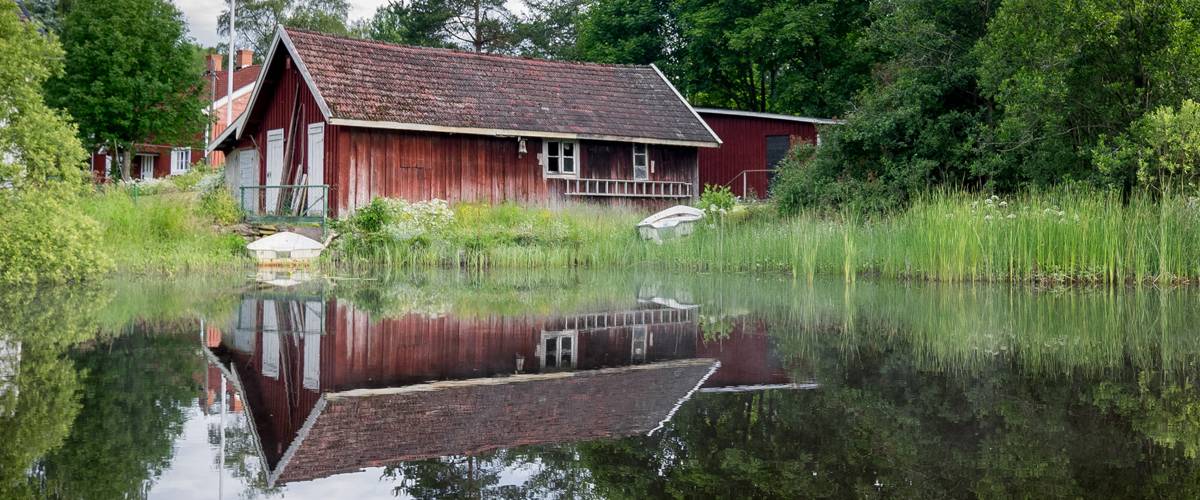 Pond beside home