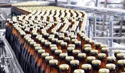 Glass bottles on conveyor belt at plant