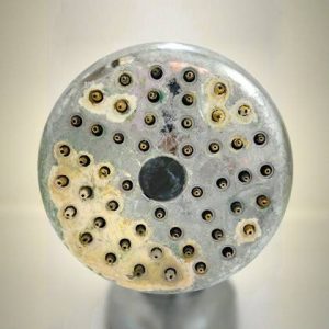 Hard Water Scum on Shower Head