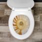 Iron stains in toilet Iron & maganese stains in toilet