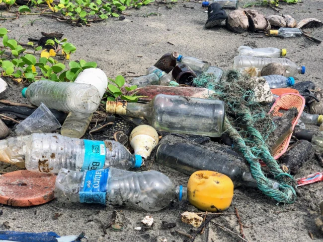 Plastics-scaled Plastics-scaled