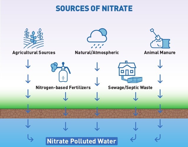 sources-of-nitrates-infographic