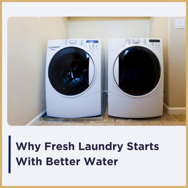 Fresh Laundry Banner