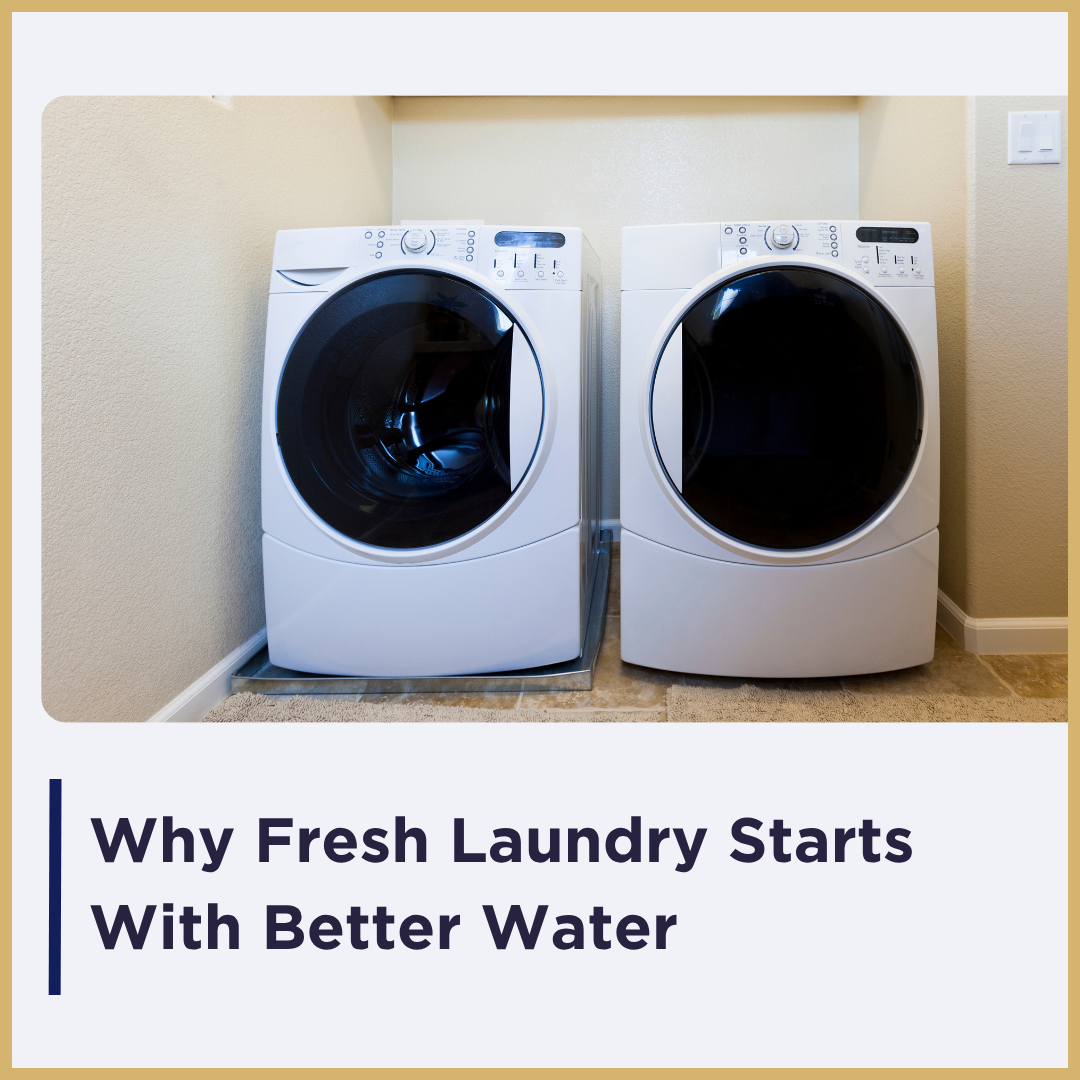 Fresh Laundry Banner