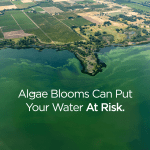 Algae Blooms Drinking Water Risk