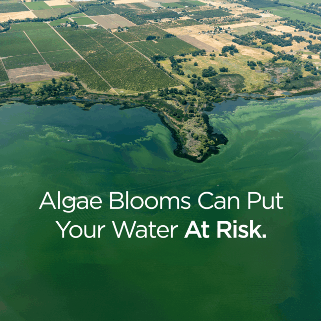 Algae Blooms Drinking Water Risk Algae Blooms Drinking Water Risk