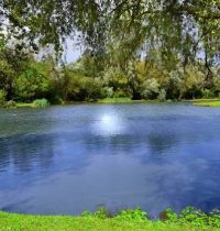 Pond Systems Pond Systems